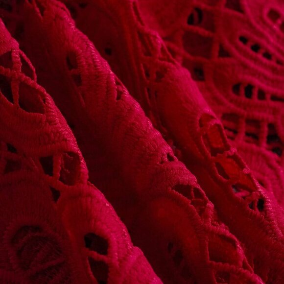 Red Elegant Women's Stand-Up Collar Lace Loose Lantern Long-Sleeved Shirt - Picture 6 of 6